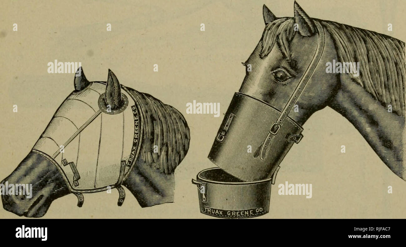 . Katalog der Veterinär Instrumente. Tierärztliche Instrumente, Apparate und Geräte. 75 £ 77 WABASH AVE., Chicago. 149 HOPPELN, CHLOROFORM INHALATOR UND DER HAUBE.. Abb. 11602. Die Haube $ 3,00 Abb. 11604. Chloroform Inhalator 5,00 $. Bitte beachten Sie, dass diese Bilder sind von der gescannten Seite Bilder, die digital für die Lesbarkeit verbessert haben mögen - Färbung und Aussehen dieser Abbildungen können nicht perfekt dem Original ähneln. extrahiert. Truax, fest, Herst. von chirurgischen Instrumenten, Chicago. (1894. Chas. Truax, Greene &Amp; Co. (integriert)) [aus dem alten Katalog]. Chicago, J. C. Winsh Stockfoto