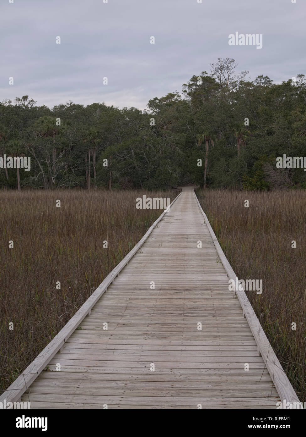 Edisto Island State Park, SC. Scenic Nature Trail. barrierefreie Rad-und Wanderweg boardwalk über Marsh. Stockfoto