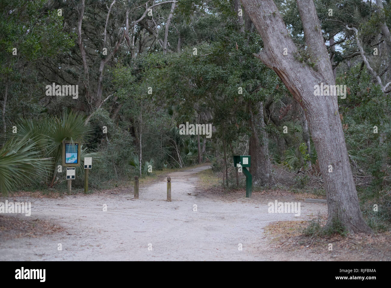 Edisto Island State Park, SC. Scenic Nature Trail. barrierefreie Rad-und Wanderweg. Trailhead Stockfoto