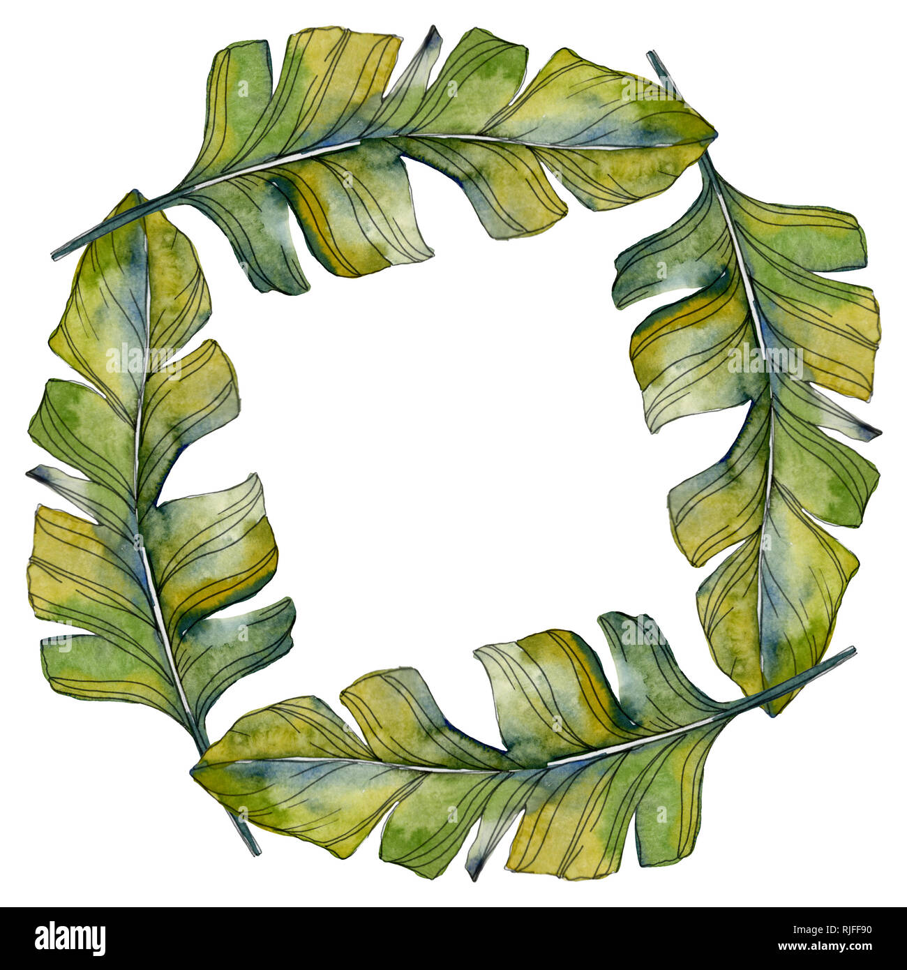 Grünes Blatt Pflanze botanische Garten Laub. Exotischen tropischen hawaiischen Sommer. Aquarell Hintergrund Abbildung. Aquarell Zeichnung mode Tjeukemeer Stockfoto