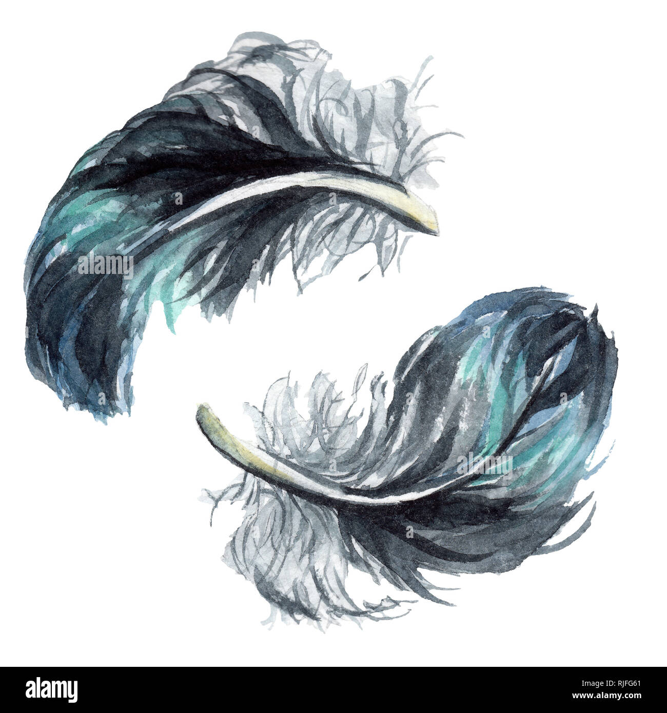 Blau Schwarz Vogel Feder aus Flügel isoliert. Aquarell Hintergrund Abbildung. Aquarell Zeichnung mode Aquarelle. Isolierte federn Lllustrat Stockfoto