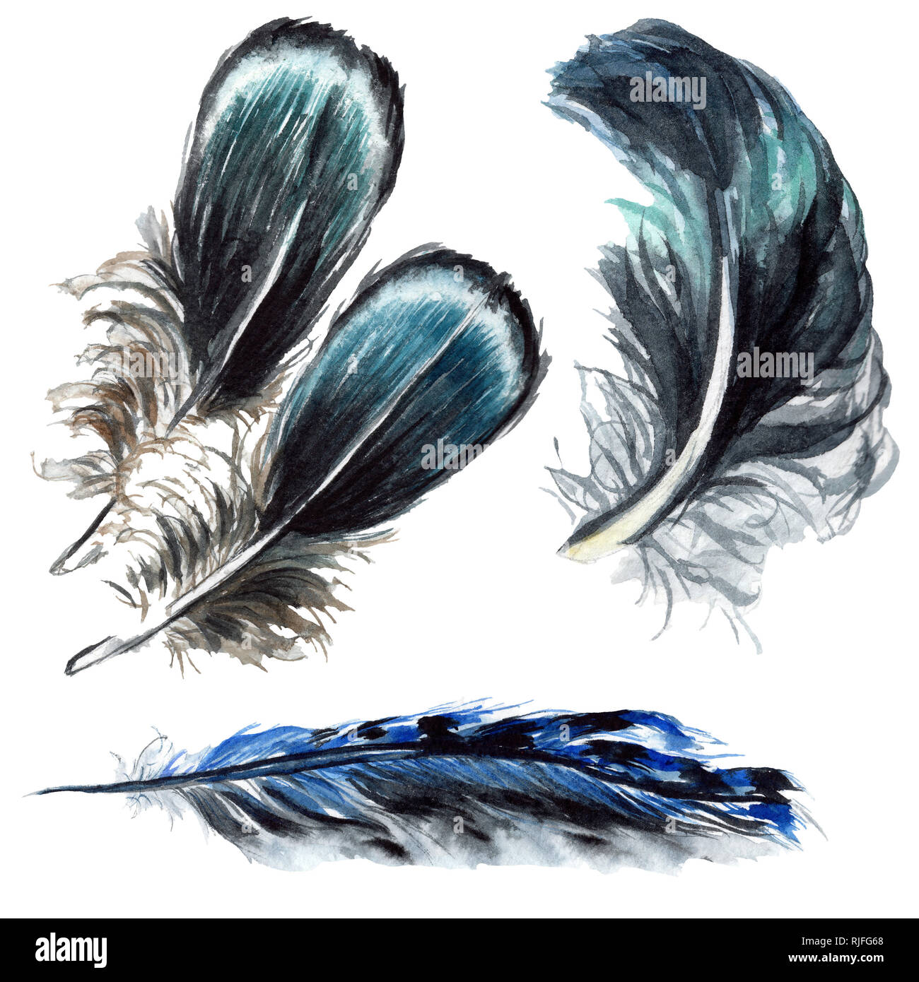Blau Schwarz Vogel Feder aus Flügel isoliert. Aquarell Hintergrund Abbildung. Aquarell Zeichnung mode Aquarelle. Isolierte federn Lllustrat Stockfoto
