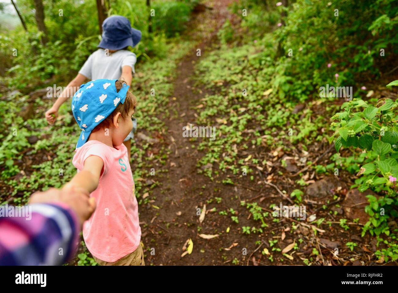 Junge Kinder im Schulalter entlang einem Feldweg ziehen ein Erwachsener, Moongun Wanderweg am Elliot Federn, Townsville, Queensland, Australien Stockfoto