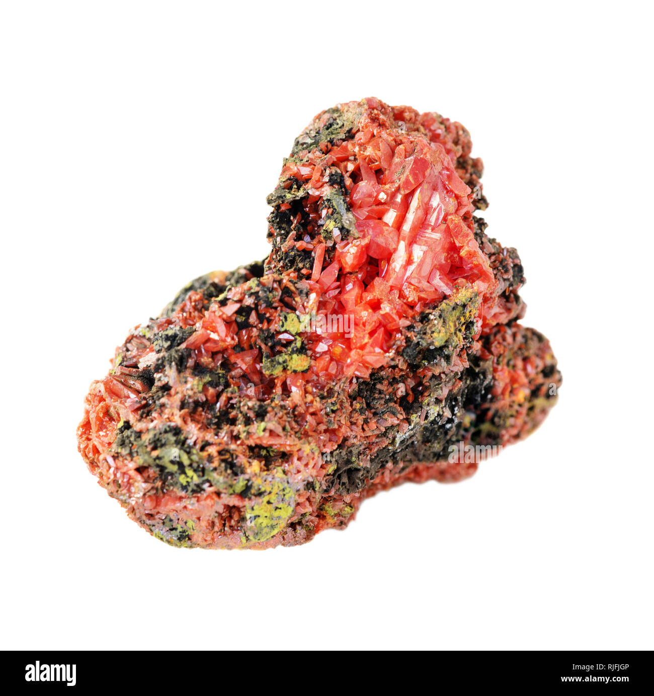 Seltene, leuchtend orange Kristalle von crocoite auf die Matrix aus dem Ural, Mineral, bestehend aus bleichromat, auf weißem Hintergrund Stockfoto