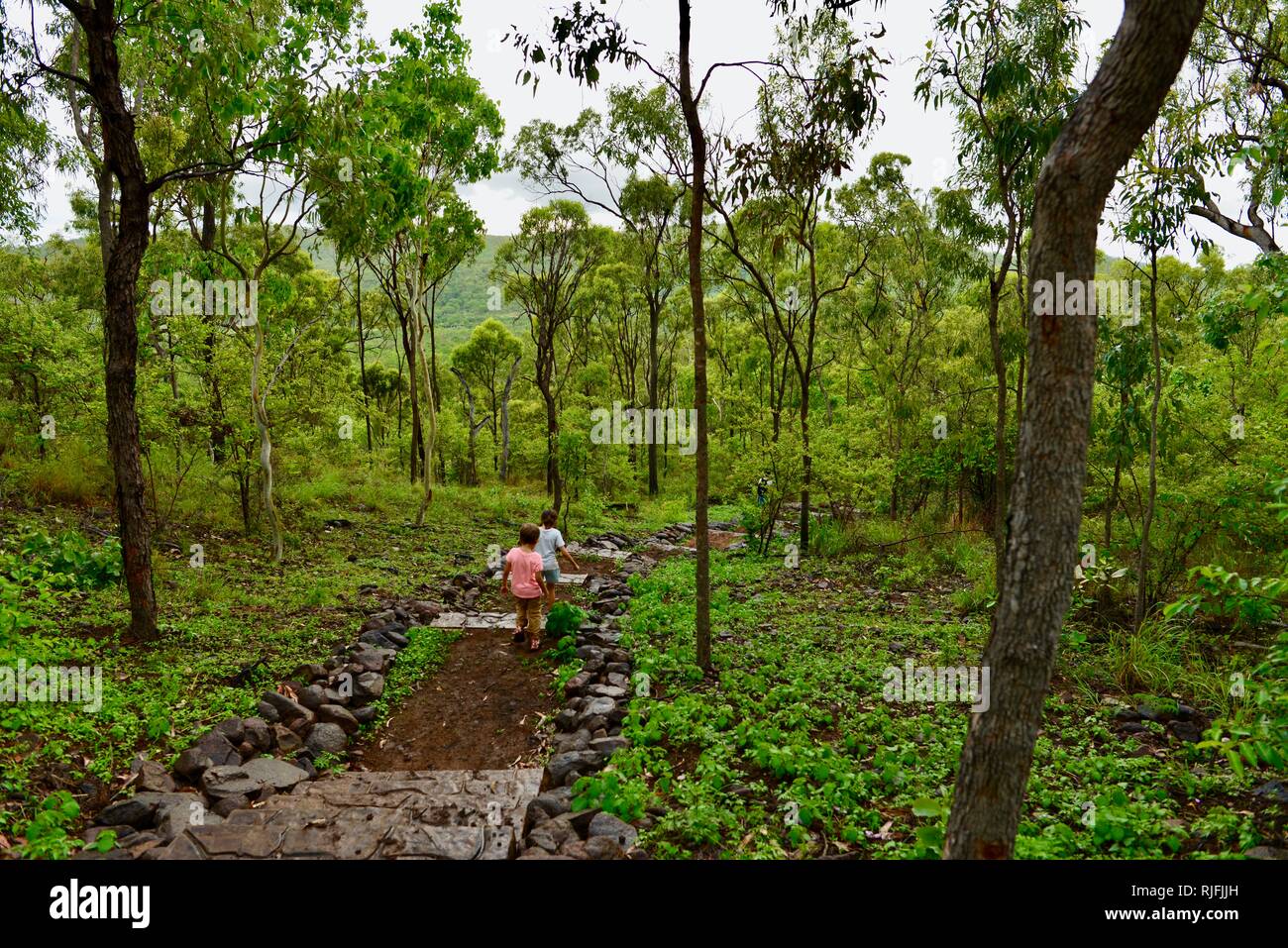 Junge Kinder im Schulalter entlang einem Feldweg, Moongun Wanderweg am Elliot Federn, Townsville, Queensland, Australien Stockfoto