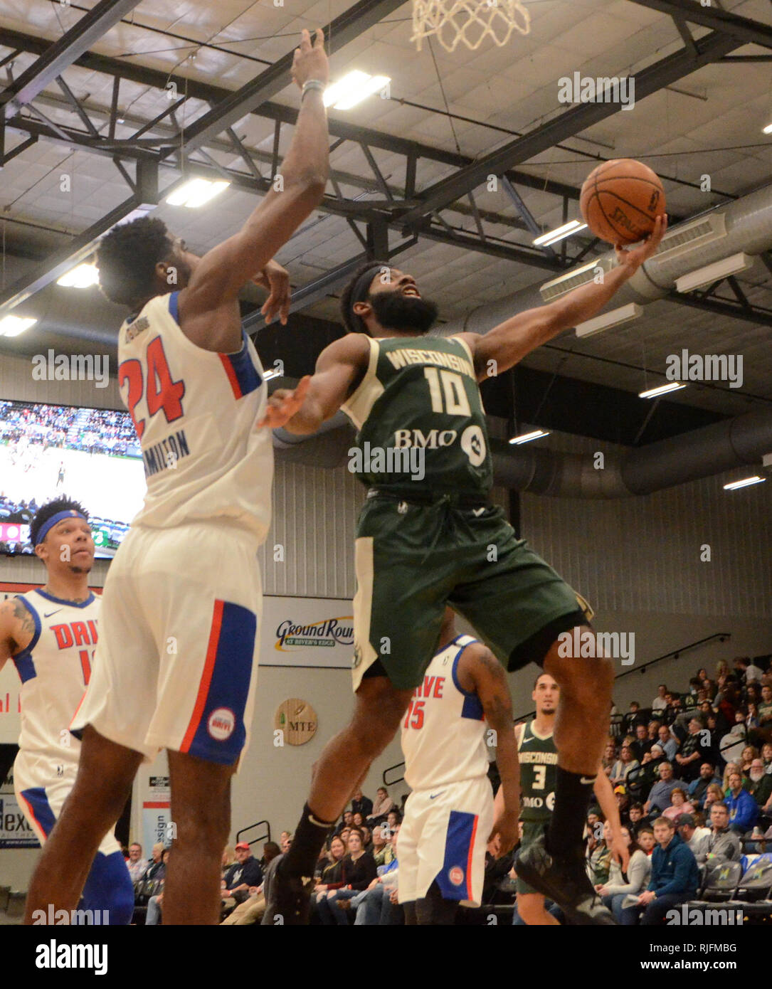 Oshkosh, Wisconsin, USA. 4 Feb, 2019. Wisconsin Herde wache Robert Johnson versucht, eine oben legen während eines NBA-G-League Spiel zwischen dem Grand Rapids fahren und das Wisconsin Herde am Menominee Nation Arena in Oshkosh, Wisconsin. Ricky Bassman/CSM/Alamy leben Nachrichten Stockfoto