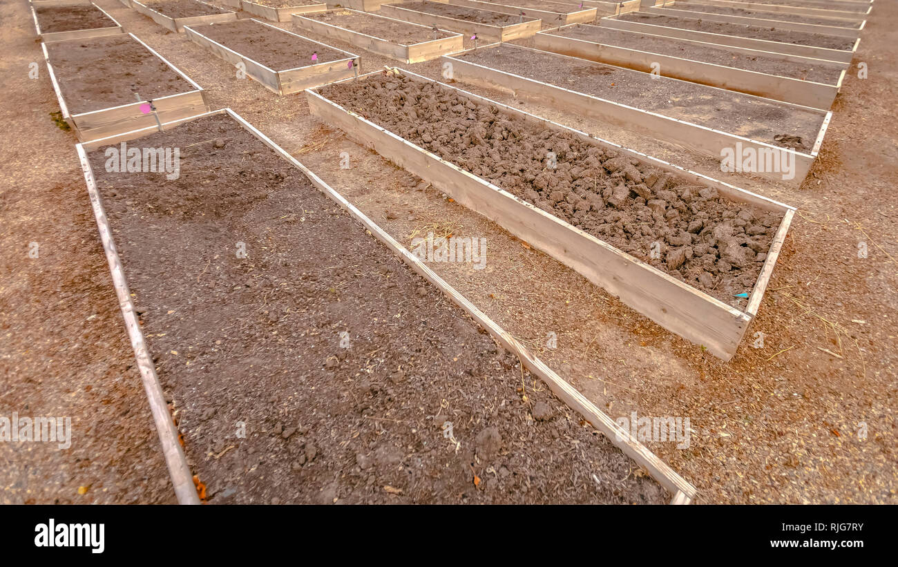 Reihe von rechteckigen angehoben Garten Betten mit zapfhähnen Stockfoto