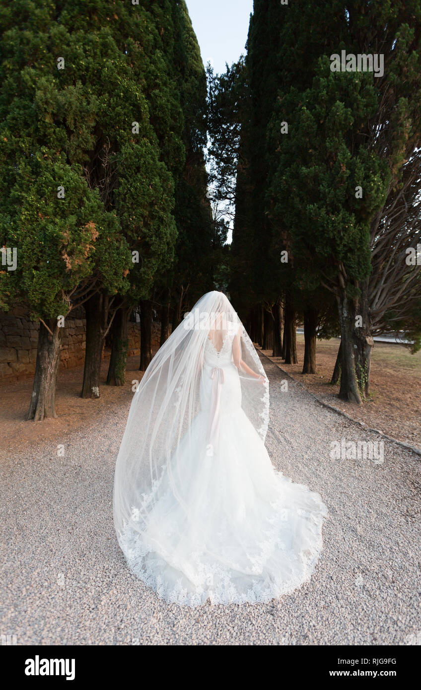 Die Braut in einem Hochzeitskleid mit Schleier ist zu Fuß entlang der Zypressenallee Stockfoto