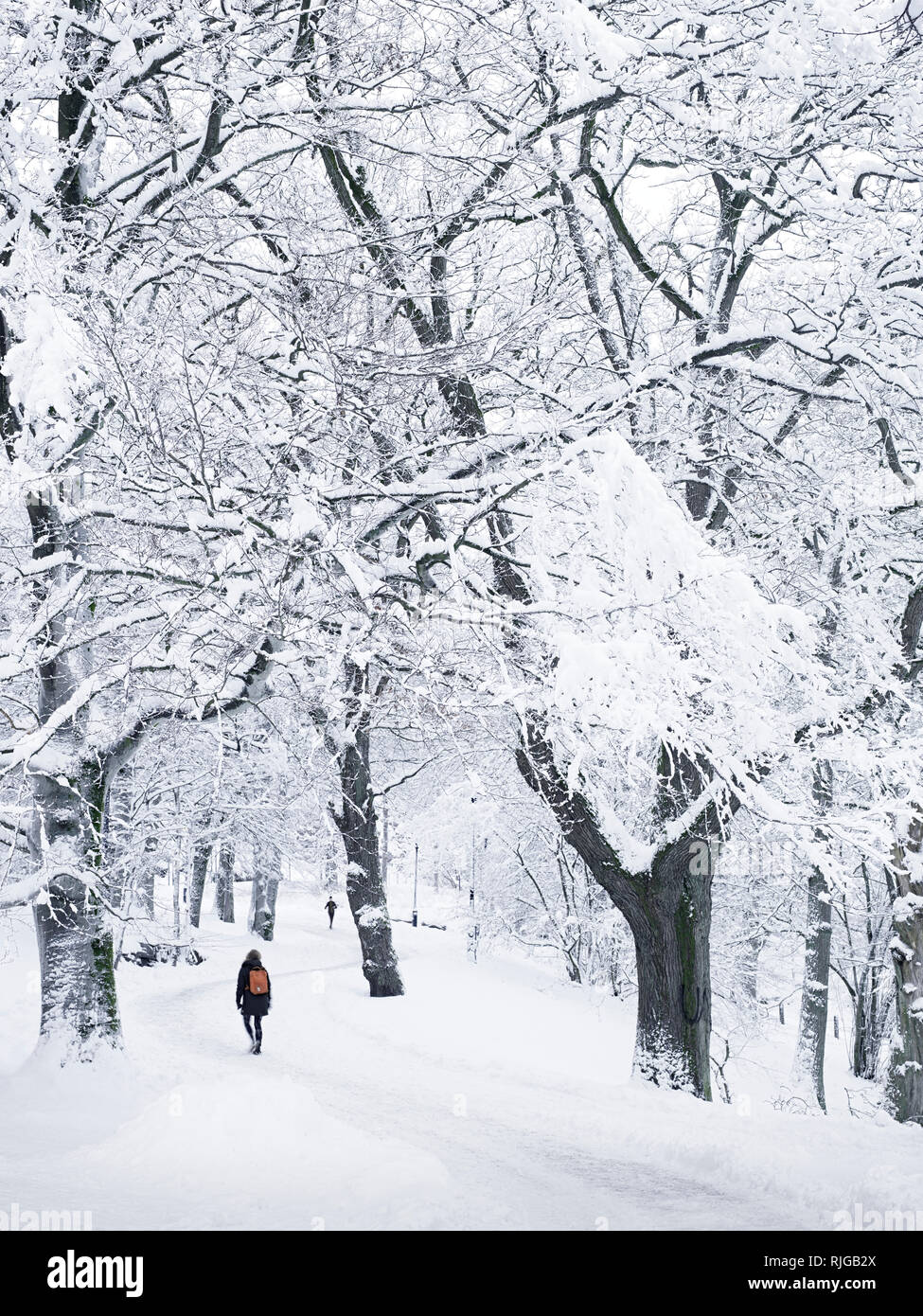 Person zu Fuß durch den Winter Park Stockfoto