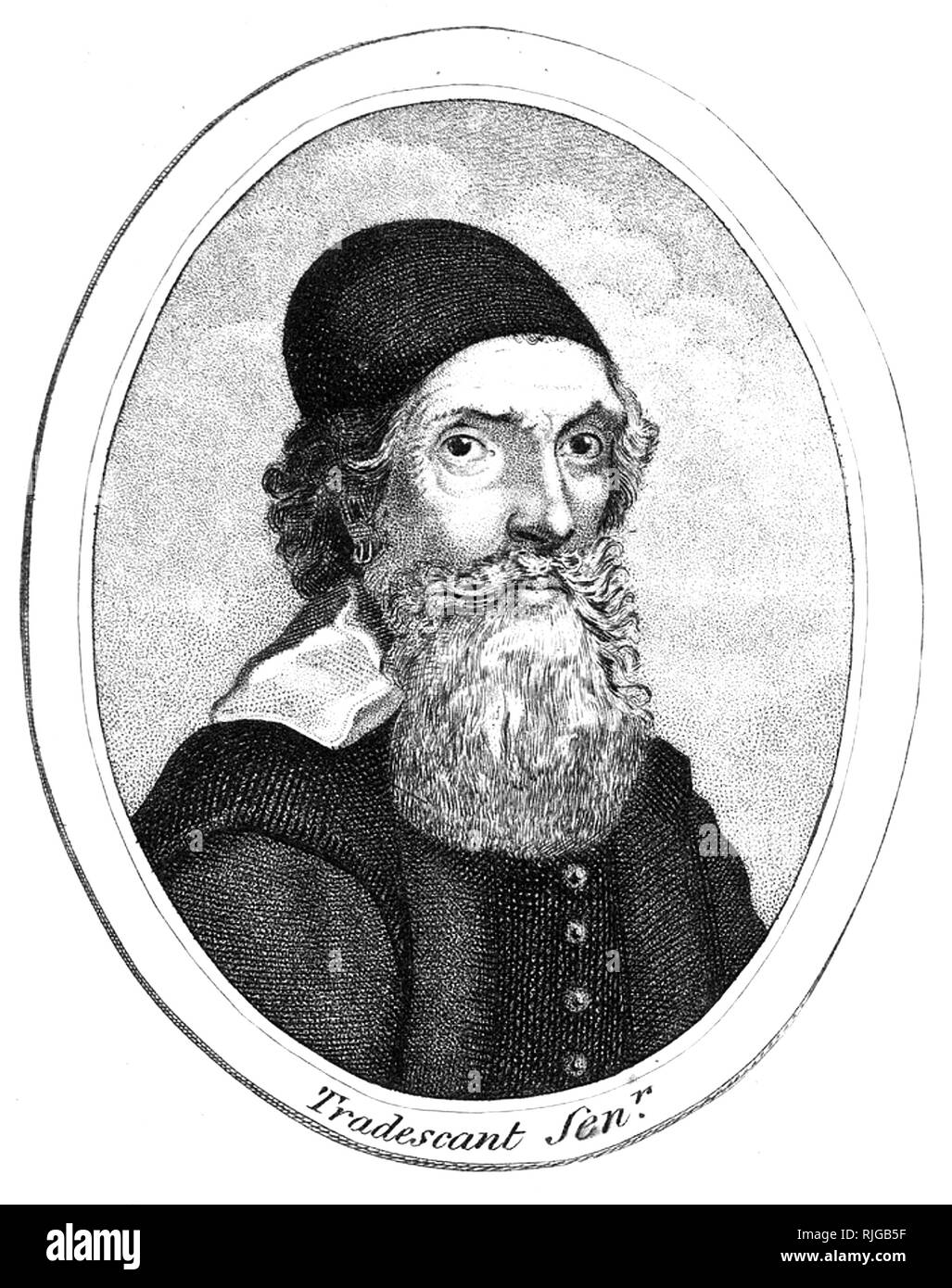 John tradescant the younger Fotos und Bildmaterial in hoher Auflösung