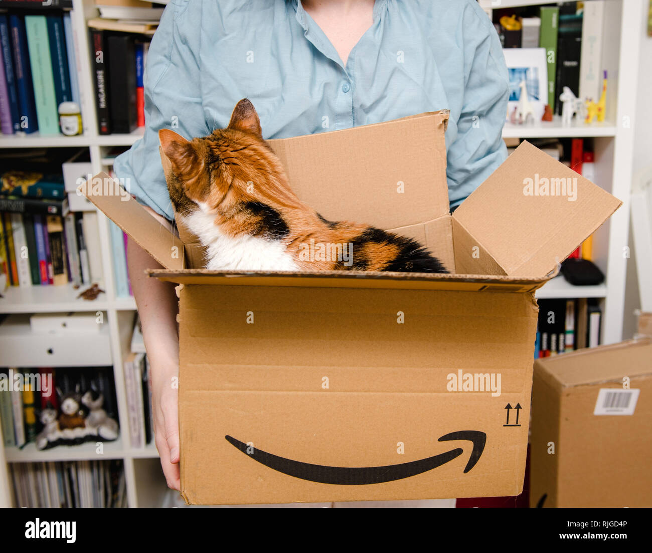 PARIS, Frankreich - Apr 4, 2018: neugierige Katze Ausfahrten von Amazon  Prime Karton nach Lieferung - Frau mit Karton Stockfotografie - Alamy