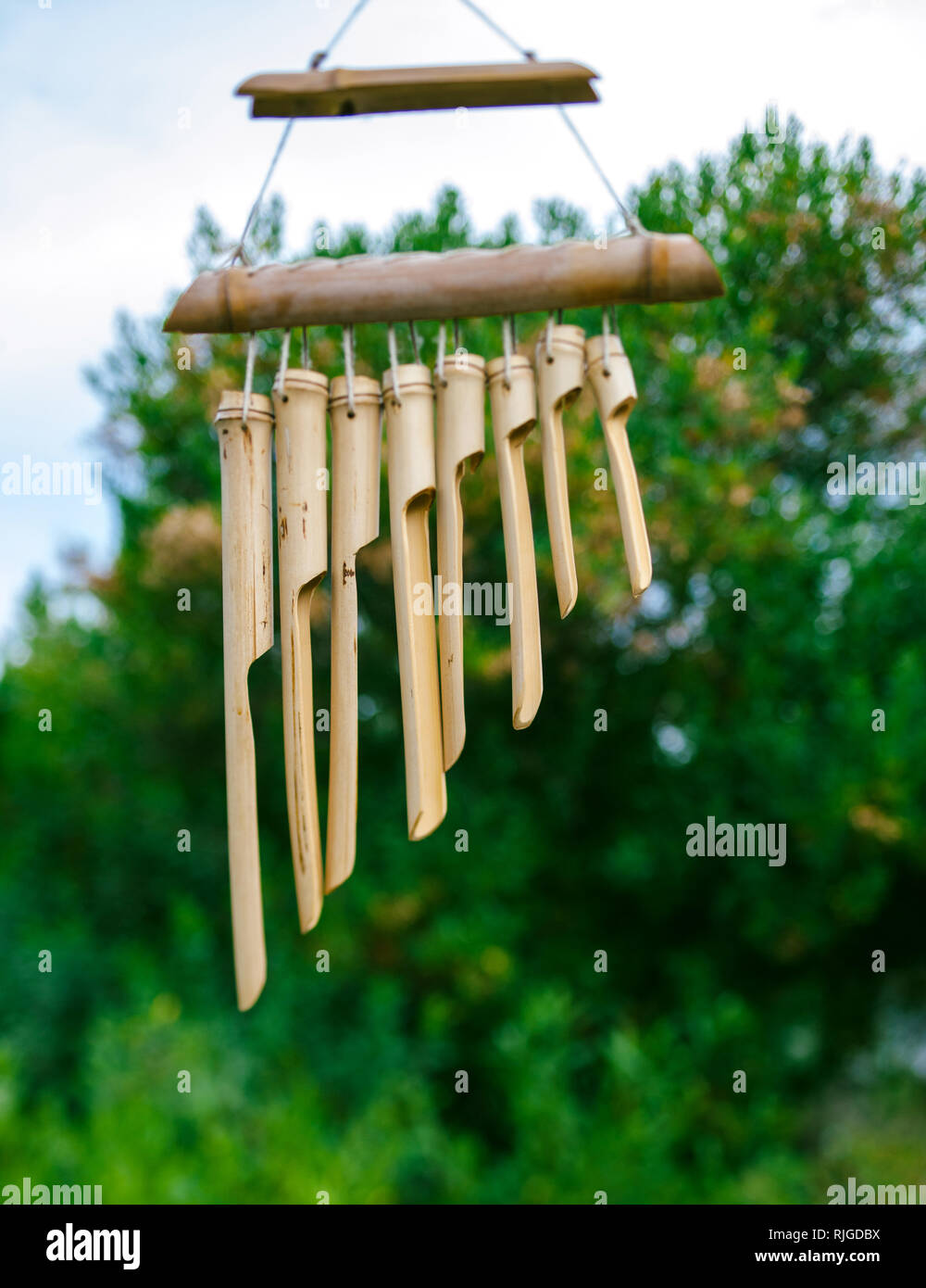 Japanisches Windspiel Holz Bambus Glocken auf Baum im Japanischen Garten  mit roten Regenschirm berreicht - Low Angle Tilt-shift-Objektiv  Stockfotografie - Alamy