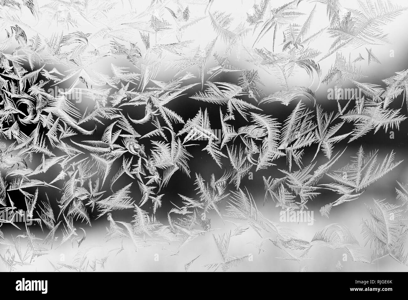 Nahaufnahme von einem frostigen, eisige Glas Fenster. Textur, Muster nach einer kalten Nacht. Kristalle überall. Garten im Hintergrund. Stockfoto