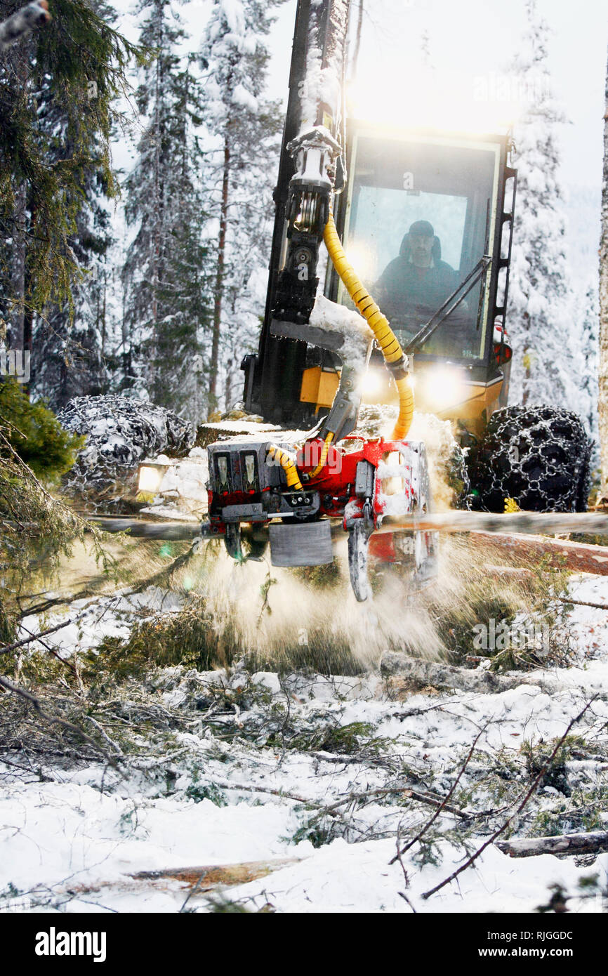 Mann mit Wald Maschine Stockfoto