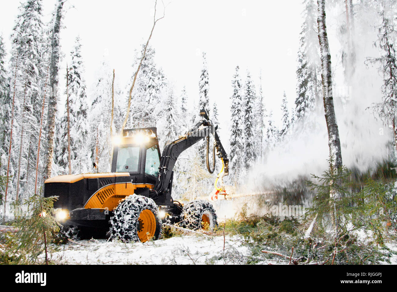 Anmeldung Fahrzeug, Holz Stockfoto