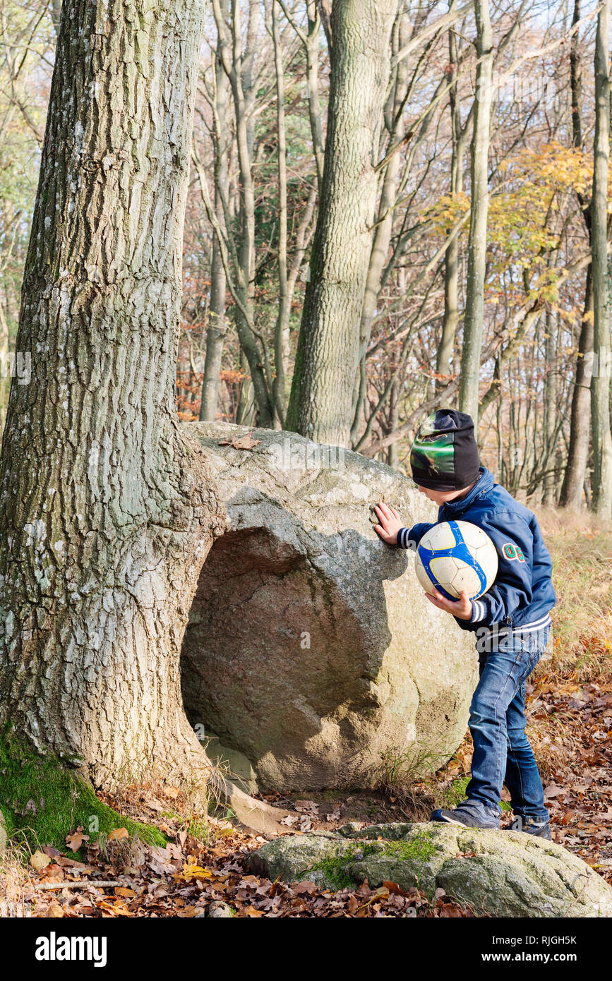 Junge Blick auf Baum Stockfoto