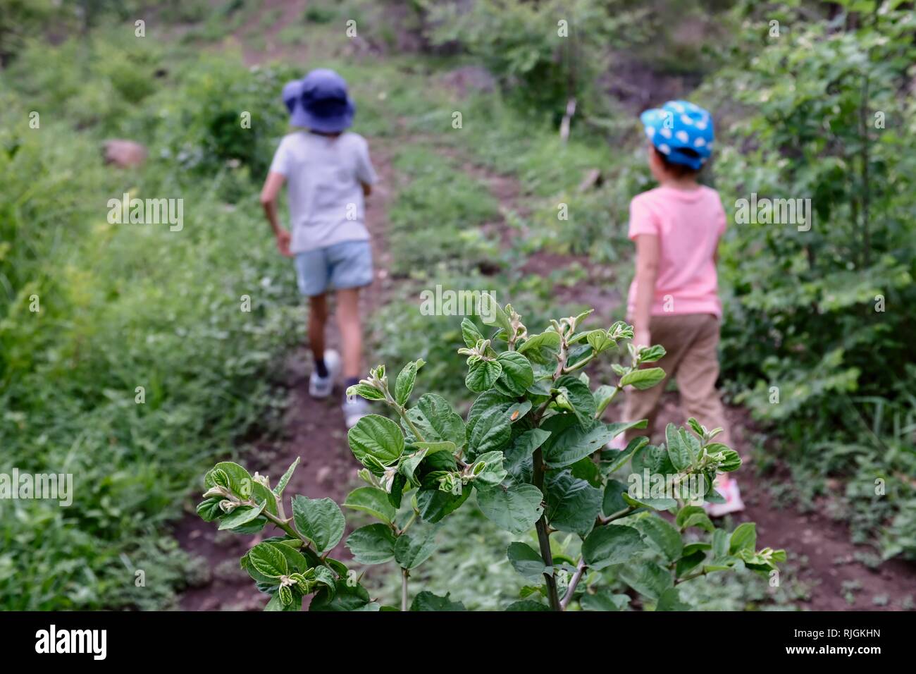 Junge Kinder im Schulalter entlang einem Feldweg, Moongun Wanderweg am Elliot Federn, Townsville, Queensland, Australien Stockfoto