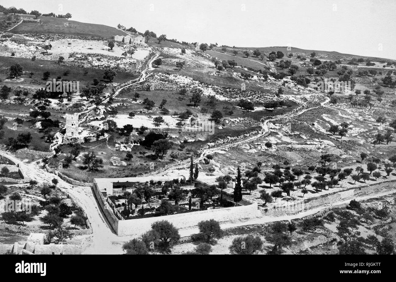 Israel, Jerusalem, das Getsemani Garten, 1910 Stockfoto