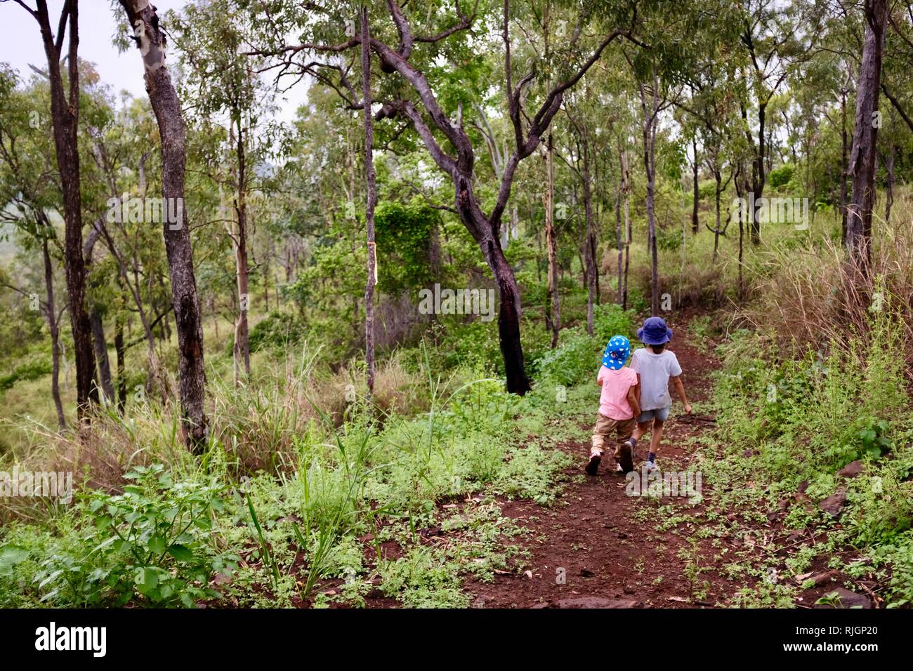 Junge Kinder im Schulalter entlang einem Feldweg, Moongun Wanderweg am Elliot Federn, Townsville, Queensland, Australien Stockfoto