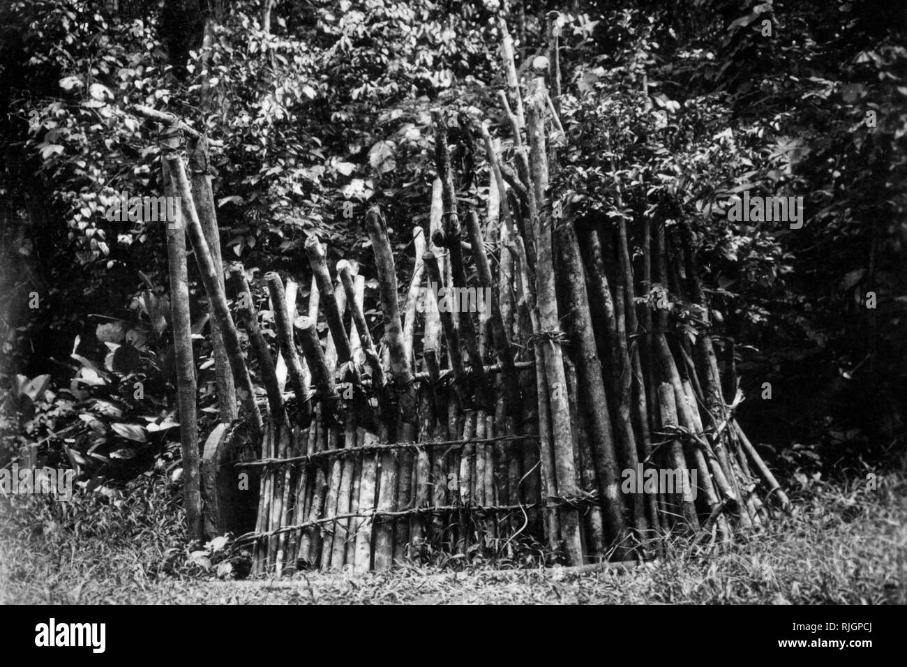 Afrika, Kongo Belgischen trap Fleischfresser gebaut von Pygmäen, 1927-30 Stockfoto