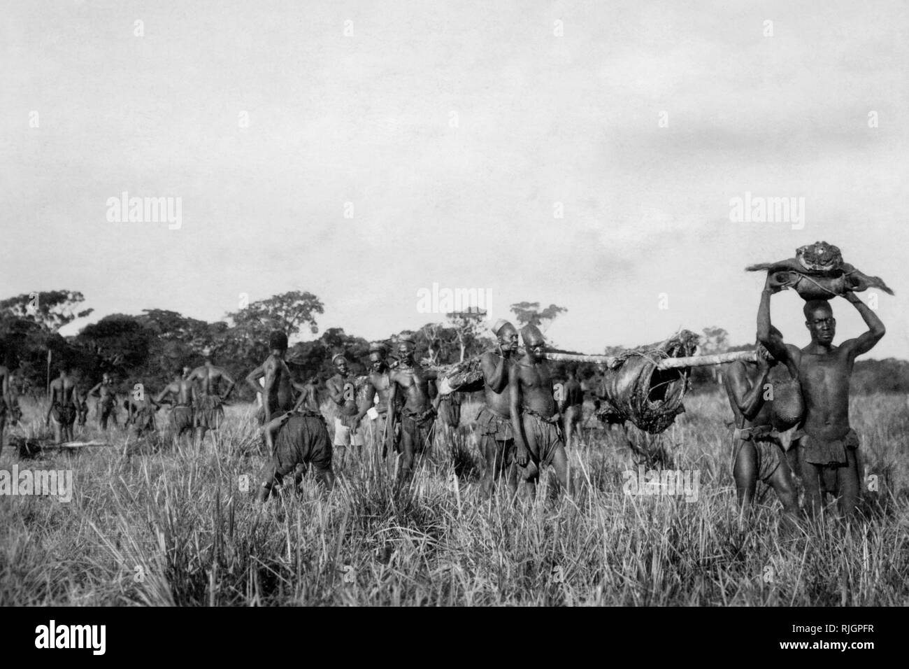 Afrika, Kongo belgischen Mitglieder des Stammes Mangbetu Transport von Fleisch von Pygmäen, 1927-30 Stockfoto