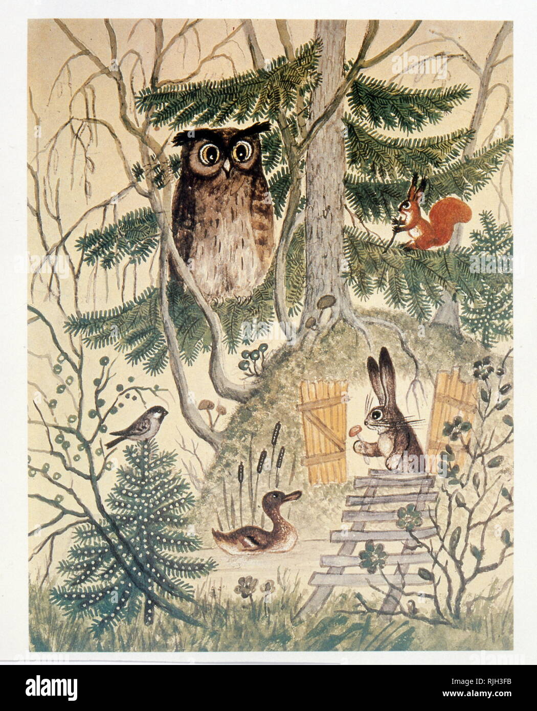 Buch der russischen Kinder Abbildung zeigt eine Eule, eine Ente, ein Eichhörnchen und ein Kaninchen. 1890 Stockfoto