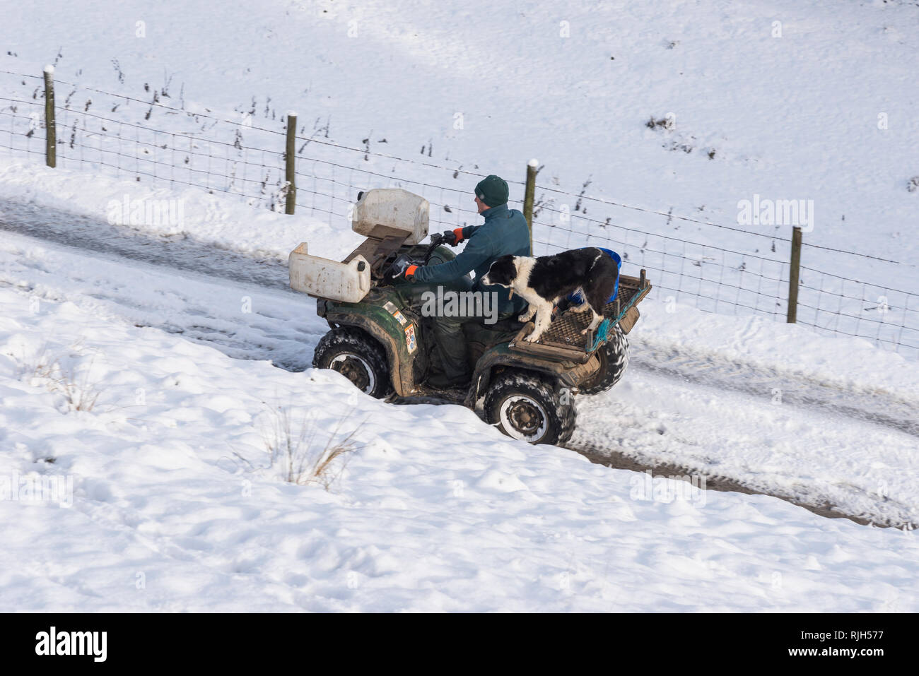 Bauer auf einem Quad mit seinem Border Collie Hund an einem verschneiten Wintermorgen in der Britischen Landschaft. Stockfoto