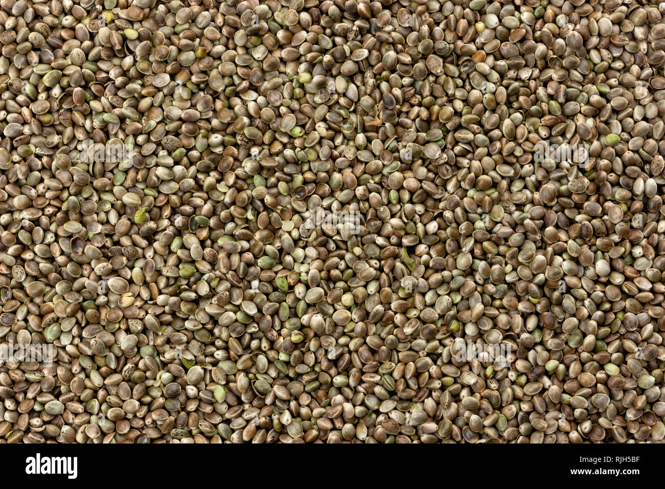 Hanf samen Textur, Cannabis samen Hintergrund Stockfoto