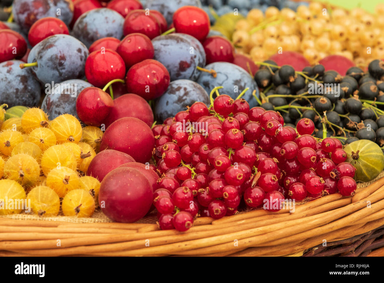 Gemischte Beeren Bio frisches Obst close-up Stockfoto