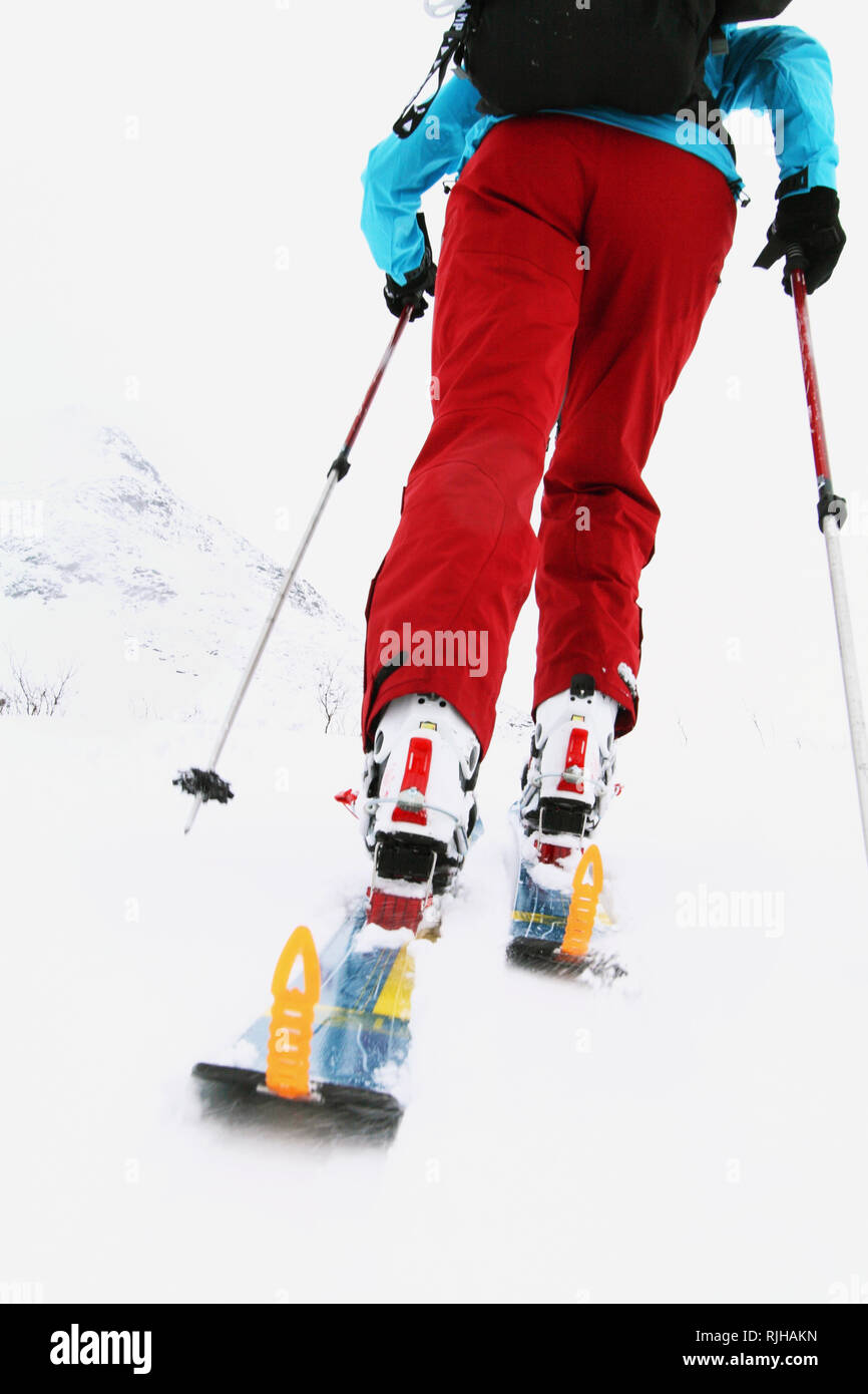 Person auf Skiern, niedrige Abschnitt Stockfoto