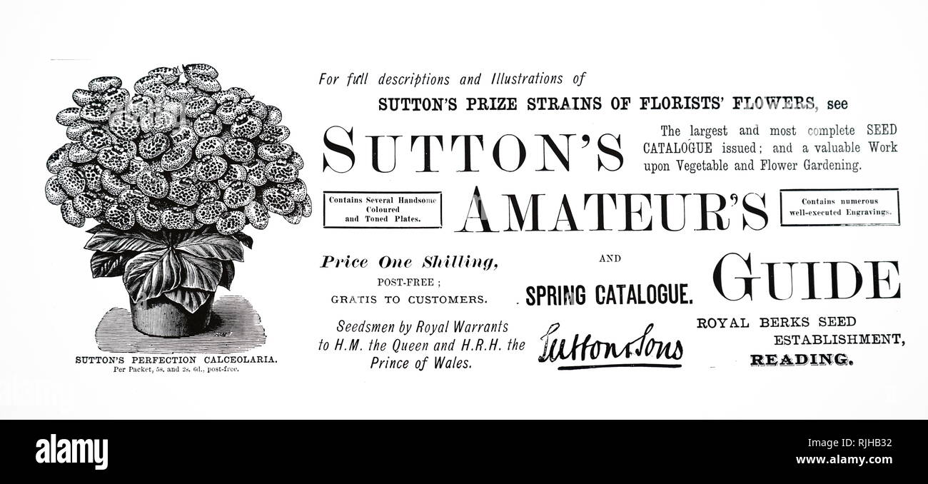 Werbung für Sutton Samen 1887 Stockfoto