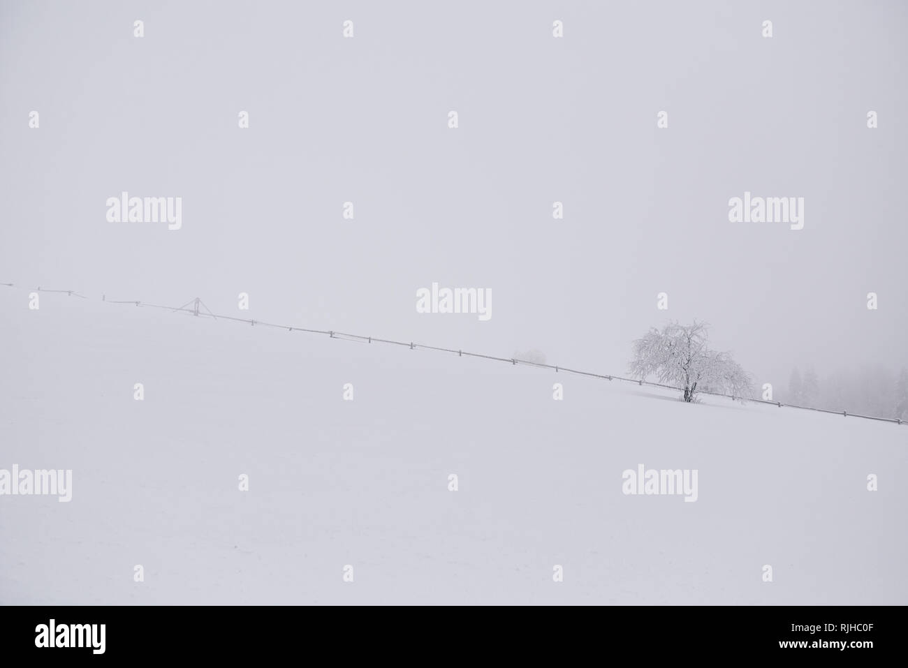 Schneefall in einer malerischen Landschaft im Winter Stockfoto