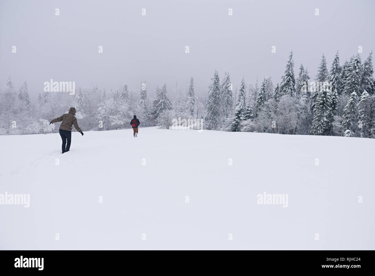 Paar wandern durch den verschneiten Wald Clearing Stockfoto