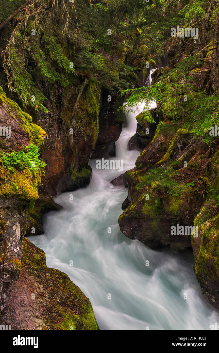 Eines der Ikonischen Bereiche auf der Westseite des Glacier National Park ist Lawine fällt. In einem alten Wachstum Zedernwald entfernt. Stockfoto