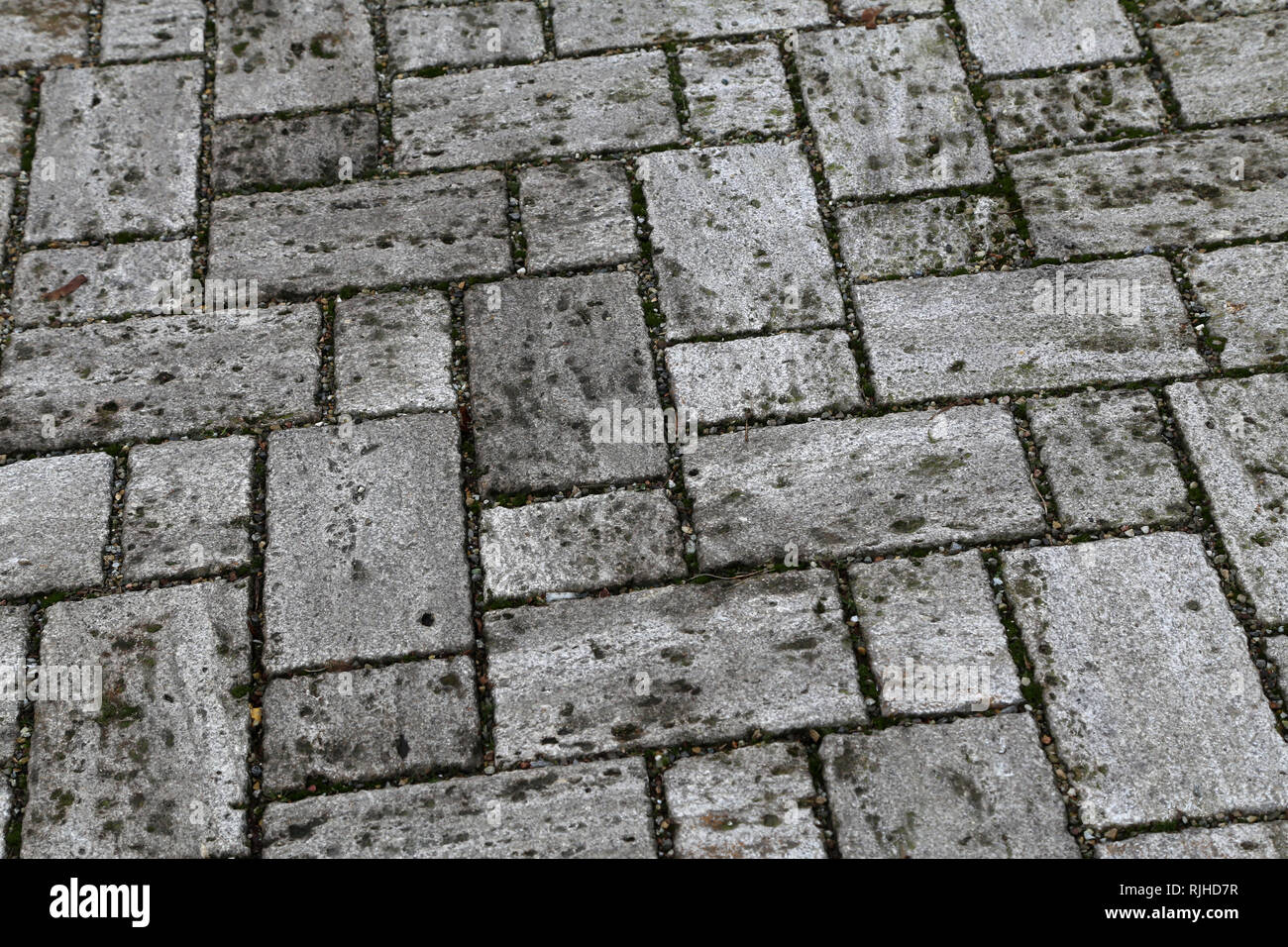 Bürgersteig, Auffahrt, Pflastersteine, Pflaster. Perspektivische Ansicht  von monotonen grauen Stein Stein auf den Boden für die Straße Straße  Stockfotografie - Alamy