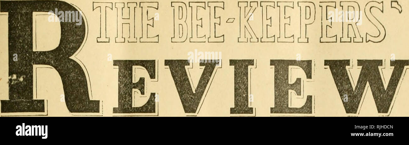 . Die Imker' überprüfen. Biene Kultur. VOL. Ii. Feuerstein, MICHieAH, NOVEMBER 10,1889. Nr. 11. Eine Spezialität ist wünschenswert? E.L. TAYLOK. ^^x/IV ne Sache zu einer Zeit" ist eine alte') ur J*"&gt; Sprichwort, und als]) i) licable zu den großen 0L CX^J-' Dinge als zu klein. Männer sind manchmal gesagt mit silbernen Löffel im Mund geboren worden zu sein, aber niemand hat jemals gesagt mit einem Handel geboren zu werden. Wir haben Berufe zu erlernen oder withoftt. Und so ist die Verfassung der Dinge - Geist und Materie -, die ein Leben lang reciuired ist, dass Zweck gut zu accgmplish; so dass wir nur anfangen, Perfektion zu nähern, wenn überhaupt, Stockfoto