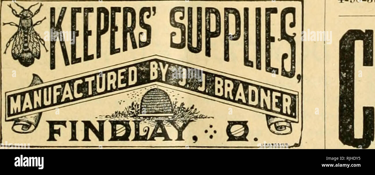 . Die Imker' überprüfen. Biene Kultur. Die IMKER' überprüfen. 93 "Es gibt keinen Platz wie Haus, "die Honigbiene sang. "Das Pittsfield Smith" gebaut, die zu Hause, wie Er hat Tausende von anderen; und alle seine Bienenstöcke sind modern, robust, billig und l/Eautiful; und Sie wissen "eine Sache der Schönheit ist eine Freude für immer.'", so sagte ein Weiser. Aber abgesehen gießen alle Angebote, gestatten Sie mir zu sagen, dass ich E-Mails werden Sie kostenlos Meine achtundvierzig Seite Biene-Buch, das ich wünschte wirklich, dich zu sehen. In diesem ich beschreiben, was Sie in dieser Saison benötigen. ^,,. e.s P, Ain, y CHAS. H. SMITH, Pjt Stockfoto