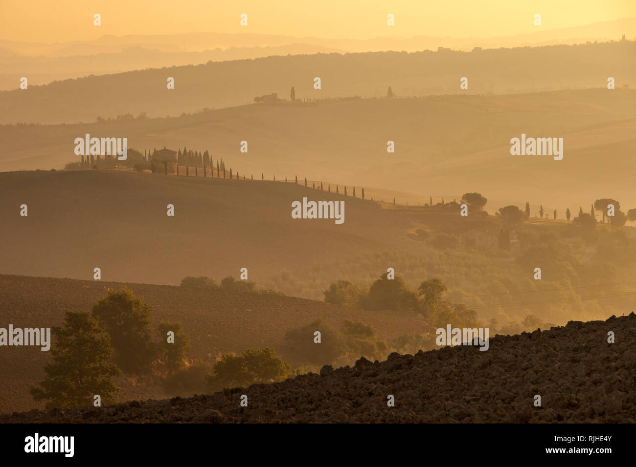 Misty Dawn über die sanften Hügel der Toskana, in der Nähe von San Quirico d'Orcia, Italien Stockfoto