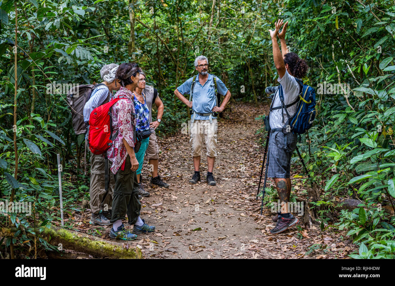 Ein schönes Foto von einem örtlichen Reiseleiter sprechen über die Vielfalt der Tierwelt der wunderschönen tropischen Regenwald von Corcovado Nationalpark Stockfoto