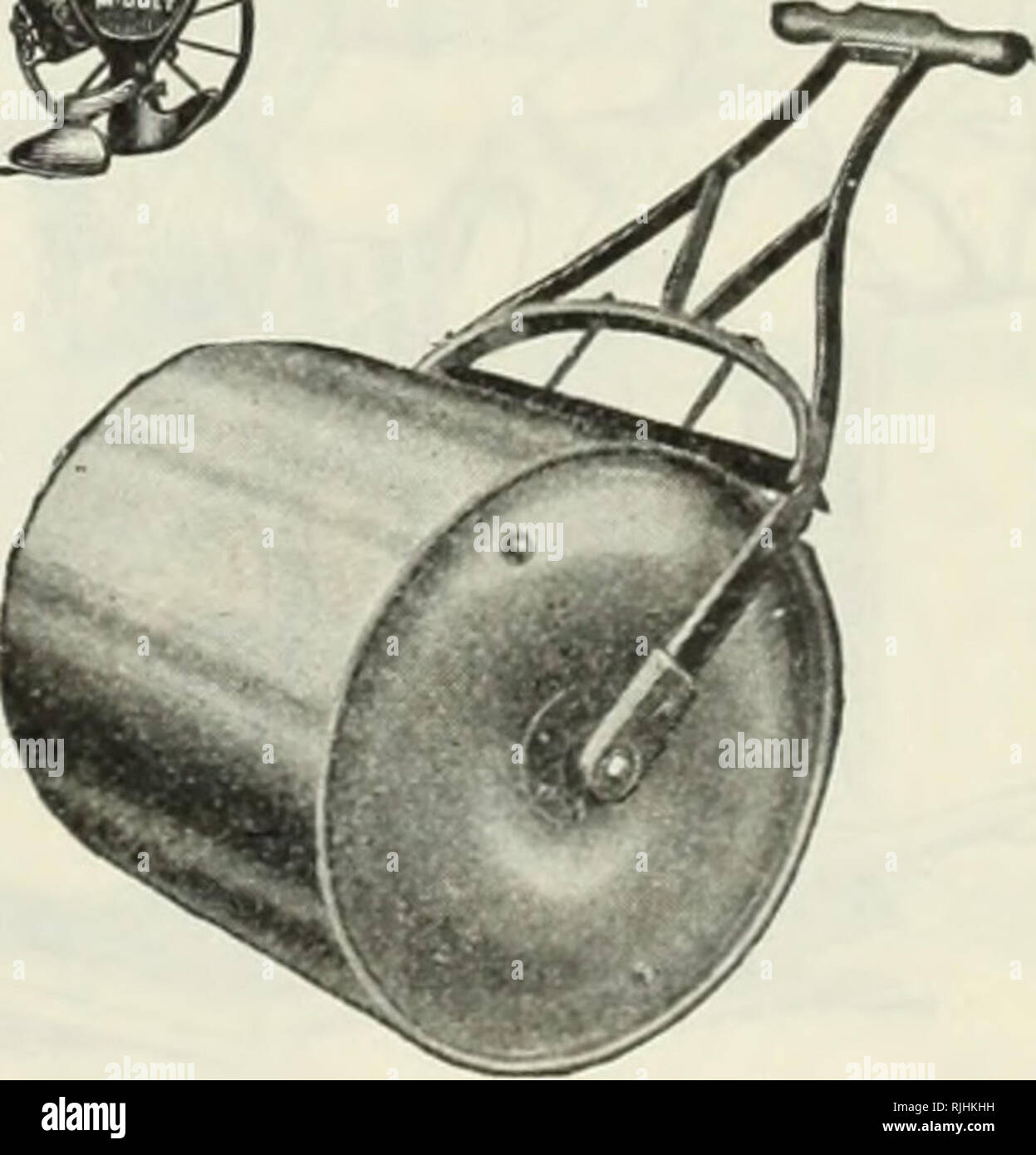 Beckert Same Store Gemusesamen Blumenzwiebeln Baumschulen Gartenbau Pennsylvania Pittsburgh Kataloge Baumschulen Pennsylvania Pittsburgh Kataloge Gemuse Samen Pennsylvania Pittsburgh Kataloge Blumen Samen Pennsylvania Pittsburgh Kataloge