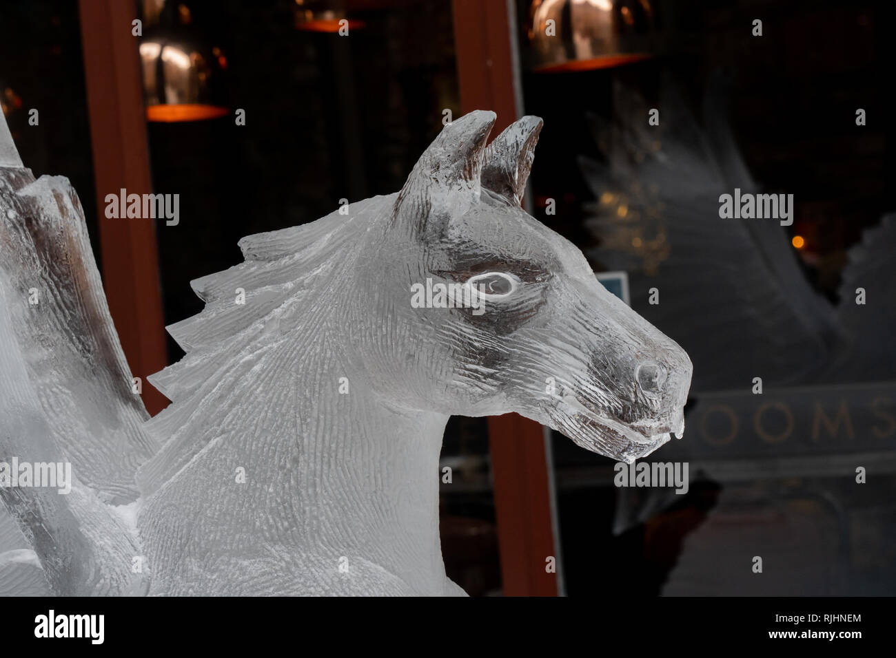 Pegasus Eisskulptur entlang 'York Ice Trail', Stonegate, York, North Yorkshire, England, VEREINIGTES KÖNIGREICH. Stockfoto