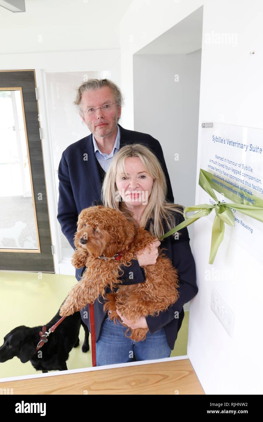 Julia und Hans Rausing mit ihren Hunden Sybille, die schwarzen Lab, und Billy. Julia und Hans Rausing besuchen Sie die rspca South Cotswolds Zweig Cotswolds Hunde Stockfoto