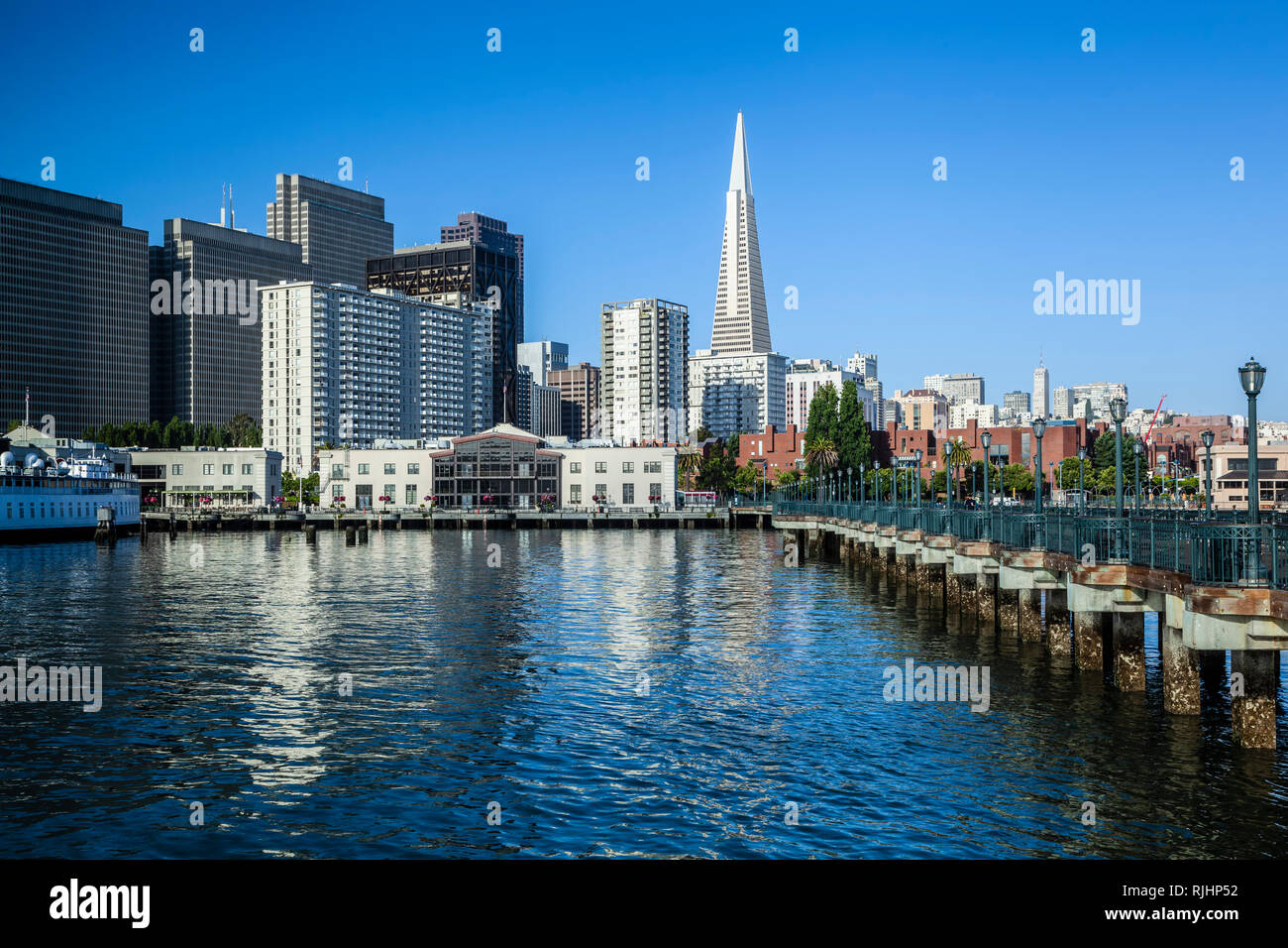 Transamerica Pyramid und Skyline, San Francisco, Kalifornien, USA Stockfoto