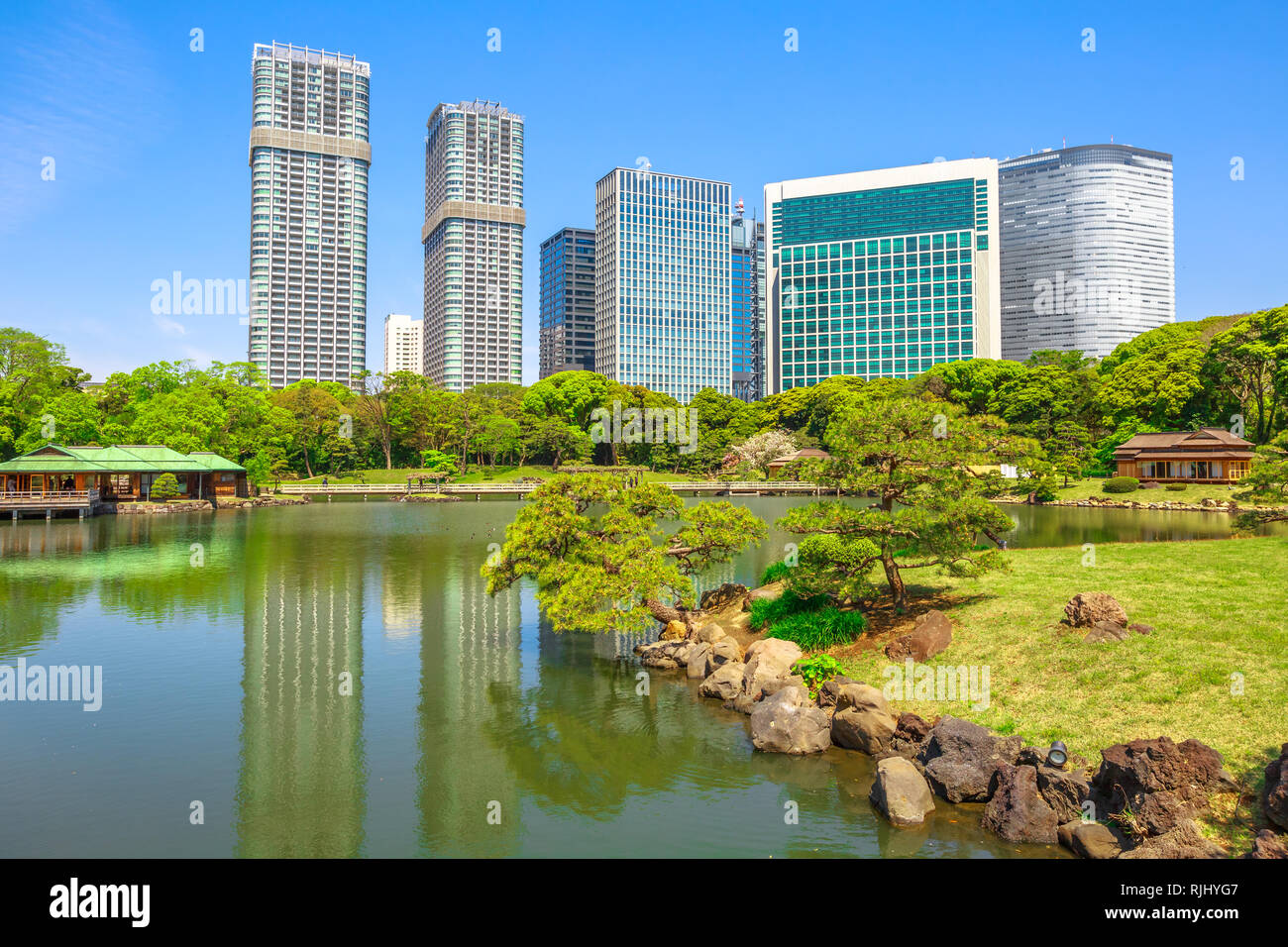 Hamarikyu mit Gebäuden am Teich von Shiodome-Shimbashi Bezirk auf Hintergrund reflektieren. Hama-rikyu ist eine große schöne Landschaft Garten in Stockfoto