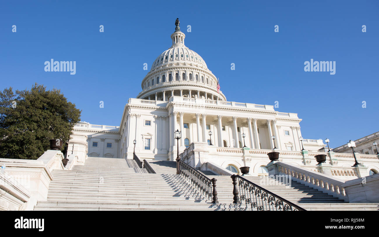 Zurück Schritte der US-Kapitol in Washington, D.C. mit einem strahlend blauen Himmel. Stockfoto