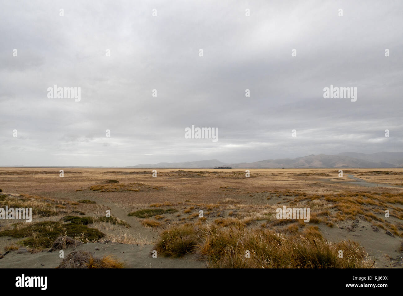 Die freiliegenden und offene Landschaft entlang Kaitorete Spit, mit Dünen und Strand Flora, unter einem bewölkten Himmel Stockfoto