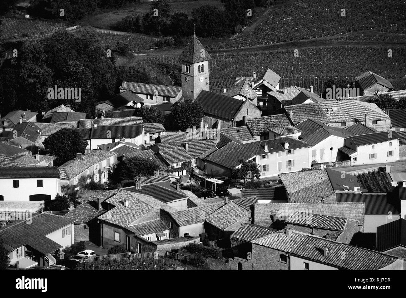 SOLUTRÉ-POUILLY DORF GESEHEN VON 'LA ROCHE DE SOLUTRÉ" - BURGUND WEINBERG VILLAGE - LE VILLAGE DE POUILLY VUE DEPUIS LA ROCHE DE SOLUTRÉ - französisches Dorf - schwarz-weiss Fotografie / EN NOIR ET BLANC - FRANKREICH ARCHIV © Frédéric BEAUMONT Stockfoto