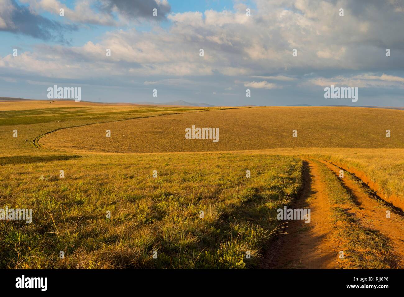 Staubige Straße durch das nyika Nationalpark, Malawi Stockfoto