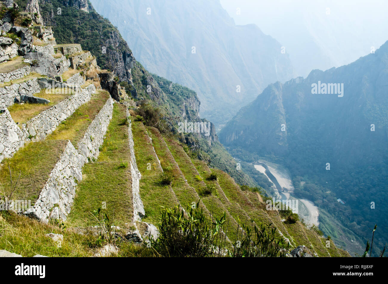 Machu Picchu-Terrassen Stockfoto