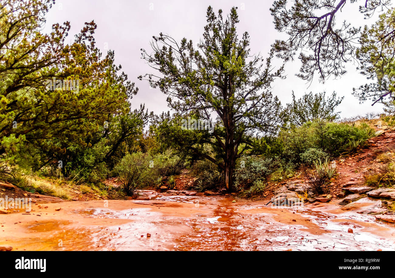 Datierung von sedona az